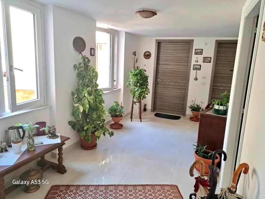 アルゲーロLa Casa Di Tinaアパートメント エクステリア 写真